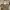 Tory Burch Ella Tote Large (Need SPA) Nego
