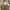 Tory Burch Ella Tote Large (Need SPA) Nego photo 2