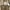 Tory Burch Ella Tote Large (Need SPA) Nego