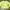 CN / Crewneck Stabilo Yellow Oversize Balon photo 1