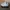NB 550 Granite Grey