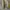 Yeezy boost 350 zebra photo 2