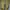  Yeezy boost 350 zebra photo 3