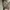  Yeezy boost 350 zebra photo 4