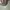  Yeezy boost 350 zebra photo 6