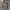Parka jacket GAP photo 4