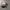 Topi Trucker Indian Motorcycle photo 1