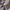 Casual Wanita purple white photo 5