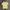 Sweater Polo Ralph Lauren Baby Yellow