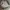 Minimalist Babydoll dress Wanita white photo 1