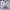 Kappa Sportswear Casual Sweater Pria gray photo 2