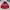 Jaket Phenix Ski Snowboard Maroon Polos photo 2