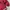 Jaket Phenix Ski Snowboard Maroon Polos photo 7