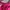 Casual Wanita Pink