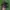 Sepatu bola DIADORA BRAZIL kulit asli  photo 1