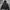 COVERNAT Lightweight Packable Windbreaker Black photo 1