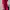 CASUAL FIT FUCHSIA