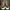 Sepatu Converse CONS ERX 260 70s size 42 photo 2
