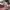 Converse Streetwear Y2K Sneakers Wanita white pink photo 6