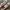 Converse Streetwear Y2K Sneakers Wanita white pink photo 3