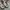 VANS Indie Sneakers Pria black photo 6