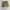 Short pants Arizona green military  photo 5