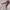 nike ultralight down jacket photo 3