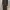 Uniqlo maxi dress - dark grey photo 2
