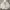 Puma Sportswear Windbreaker Pria white photo 2