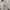 Puma Sportswear Windbreaker Pria white photo 4