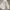 Puma Sportswear Windbreaker Pria white photo 3