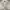 Puma Sportswear Windbreaker Pria white photo 5