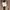 Levi's Casual Windbreaker Pria multicolor brown photo 6