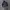 ADIDAS TREFOIL REVERSIBLE JACKET photo 5