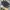Salomon Gorpcore Sneakers Pria black gray photo 4