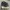Salomon Gorpcore Sneakers Pria black gray photo 1