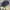 Salomon Gorpcore Sneakers Pria black gray photo 3