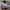 On Running Sportswear Sneakers Pria white gray photo 7