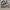 On Running Sportswear Sneakers Pria white gray photo 3