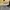 Salomon Gorpcore Streetwear Sneakers Pria black tan photo 6
