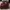 Dr. Martens Streetwear Minimalist Casual shoe Pria burgundy red photo 2