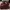 Dr. Martens Streetwear Minimalist Casual Shoe Pria Burgundy Red