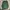 CAGOULE JACKET VNESS SPORT photo 1