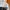 Under Armor Jacket Big Script Bordir Logo photo 7