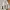 Under Armor Jacket Big Script Bordir Logo photo 8