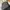 Under Armor Jacket Big Script Bordir Logo photo 4