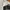Under Armor Jacket Big Script Bordir Logo photo 6