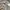 UNIQLO U — FATIGUE PANTS WARNA GREY photo 5