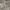 UNIQLO U — FATIGUE PANTS WARNA GREY photo 6