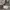 UNIQLO U — FATIGUE PANTS WARNA GREY photo 4